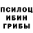 Псилоцибиновые грибы Psilocybe Timur Sadykjanov
